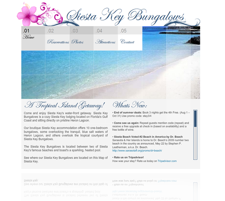 BHIP Web Design Solutions - Gold Package